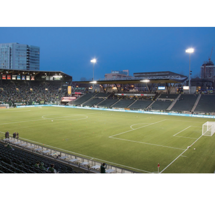 Stadium Floodlight (EXC-FL-Z02)